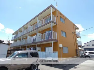 コスモス18の画像