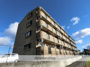 アソシアの画像