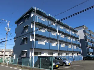 ライブ小島IIの画像