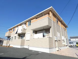 クレマチスIIIの画像