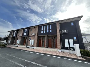 ルミエールの画像