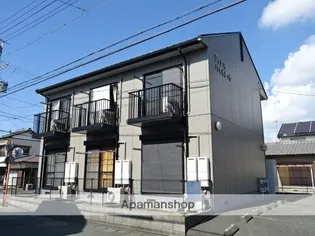 ディアスバイオレットの画像