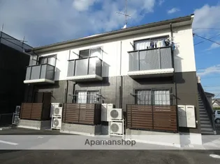 上島ビギンの画像