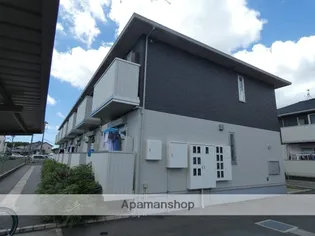 エヴァーグリーンの画像