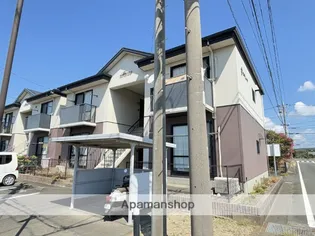 マティーナCの画像