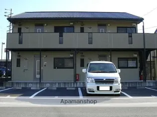 トレイシュアルボレーⅢの画像