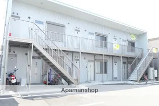 オリーブの画像