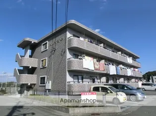 ベルティストンの画像