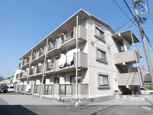 トゥインクルの画像