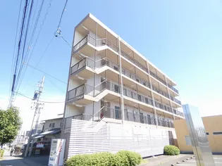 メゾン・ミッドヴィレッジ【503号室】の外観