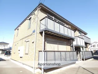 エヴァーグリーンの画像