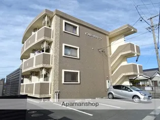 メローネクィーンの画像