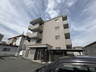 FELICE GATTO WADAの画像