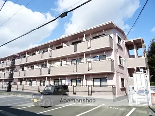 サニーハムレットAの画像