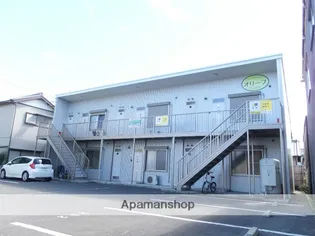 オリーブの画像