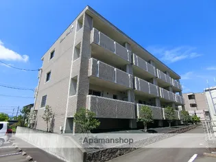 ブエナビスタの画像