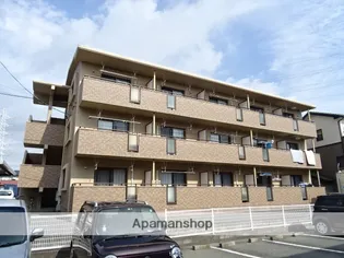 ローリエ初生の画像