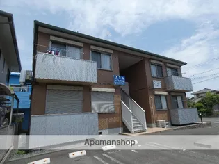 アメージング上島の画像