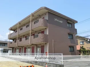 ウイングの画像