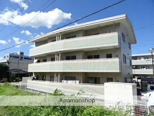 コスモスB Cの画像