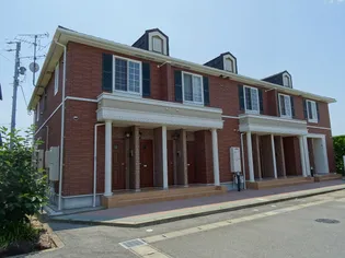 ハナミズキの画像