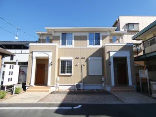 セイバリーの画像