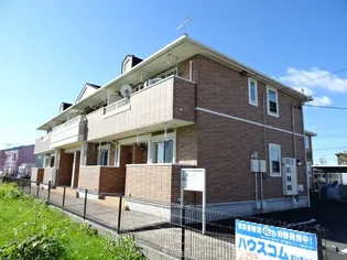 エストレラの画像