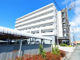 エアリスの画像