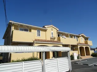 カレント ベルの画像