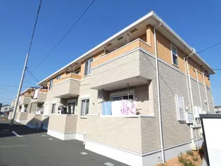 クレマチスIVの画像