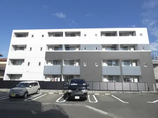 グリシーヌの画像