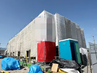 ハレレアの画像