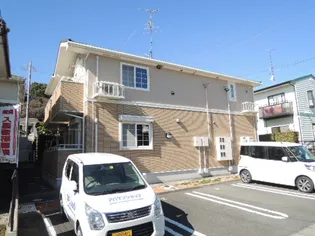 ニュー バレーの画像