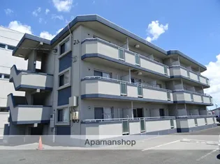 AKOYA PERLE SEAの画像