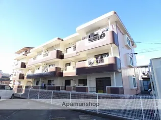 アズニューリノの画像