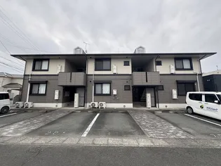 ハイカムールMの画像