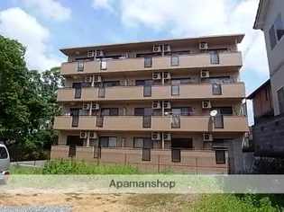 ブリアールの画像