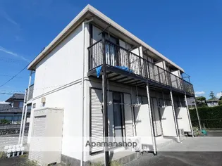 アスターAの画像