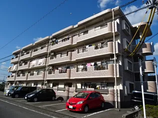 キャッスルローゼ【406号室】の外観