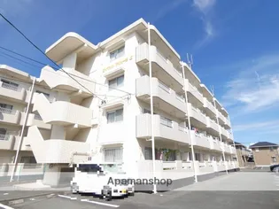 ロイヤルマルトウIIの画像