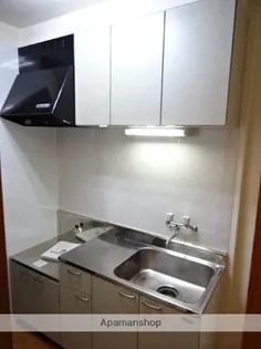 PLEIADESⅡ【1階】のキッチン