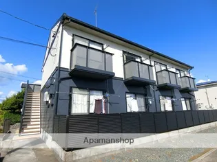 プラセール柳の画像