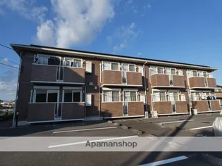 プルメリアの画像