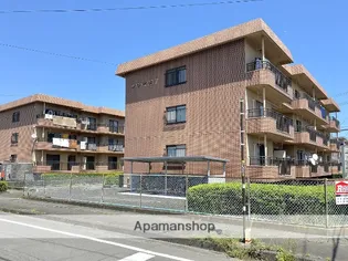 ソレイユIIの画像