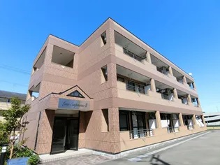 ルナ エスペランサⅡの画像