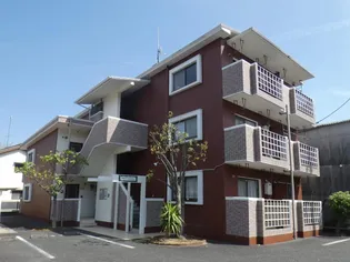 プチ ロワイヤルの画像