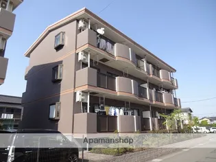 ムスカリIIBの画像