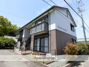 アーリーバードAの画像