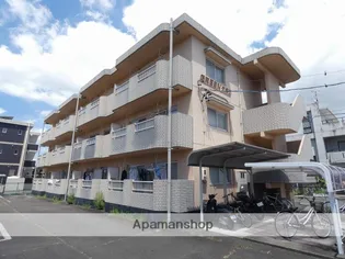 グリーンカネコの画像