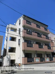 カモミールの画像